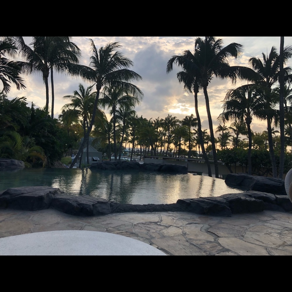 Meet your Posher, K-rae